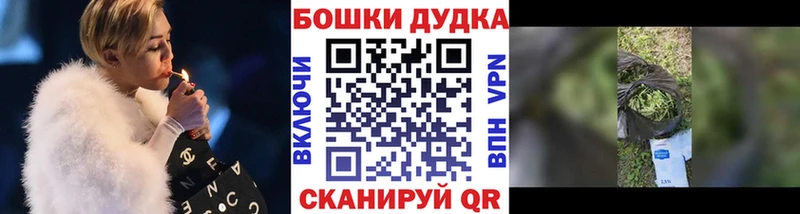 Купить закладку Марихуана  МЕФ  КОКАИН  МДМА  ГАШ  Галлюциногенные грибы  Новотроицк