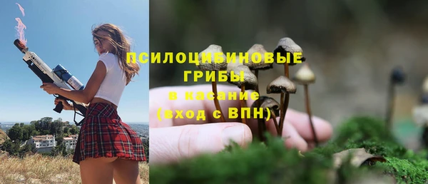 эйфоретик Балахна