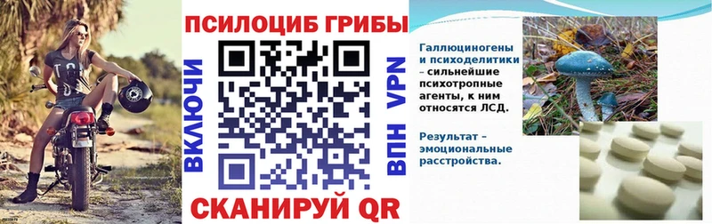 Галлюциногенные грибы Psilocybine cubensis Новотроицк